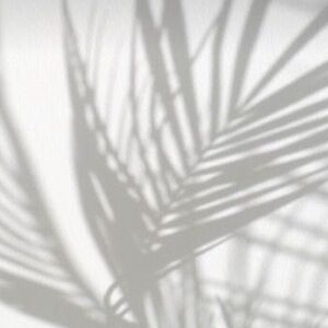 Meet your Posher, Ann